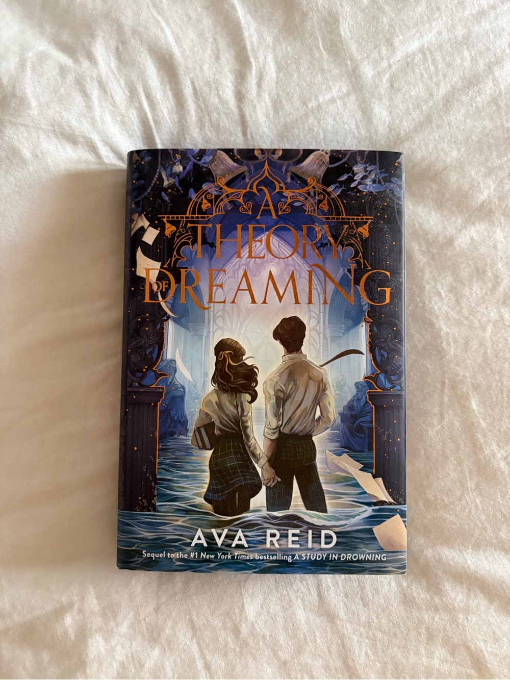 A Theory of Dreaming sprayed edge by Ava Reid NEW